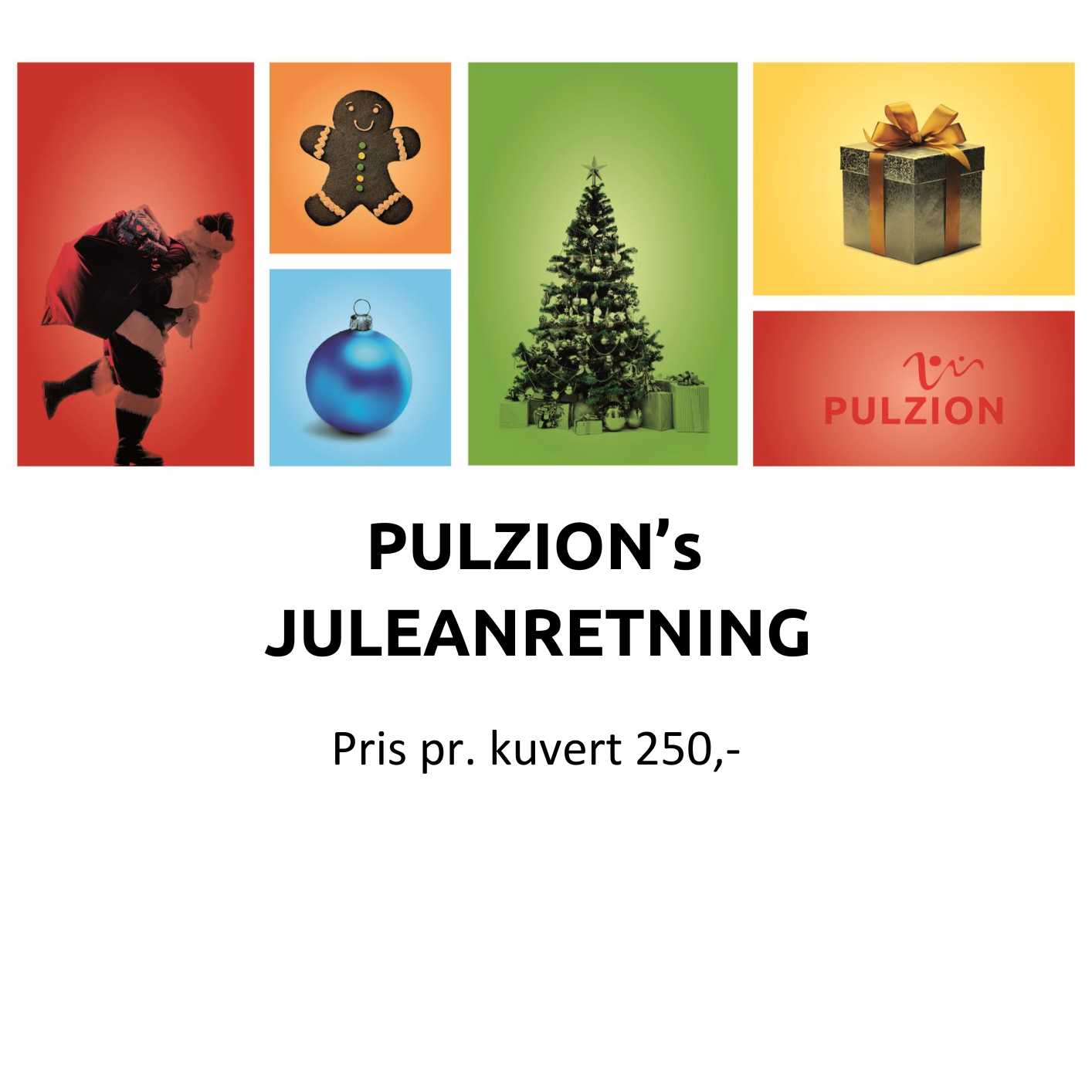 PULZION Juleanretning 2024.pdf